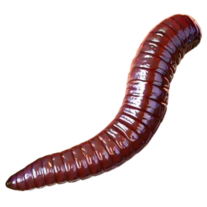 Realistic Earthworm Png Yns PNG image