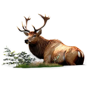 Realistic Elk Png Ofl48 PNG image