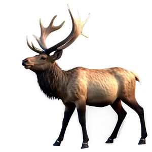 Realistic Elk Png Ysm7 PNG image