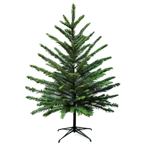 Realistic Evergreen Tree Png 06212024 PNG image