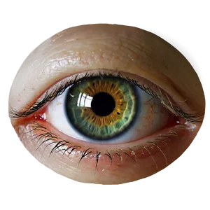 Realistic Eye Transparent Png 05262024 PNG image