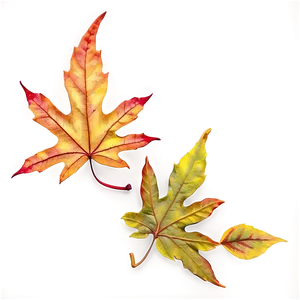 Realistic Fallen Leaves Overlay PNG 06292024