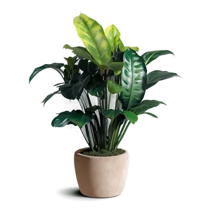 Realistic Floor Plant Png 28 PNG image