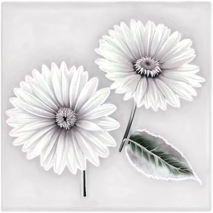 Realistic Flower Black And White Png Hrn PNG image