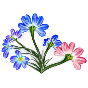 Realistic Flower Outline PNG Rxe5 PNG