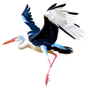 Realistic Flying Stork PNG 06122024 PNG