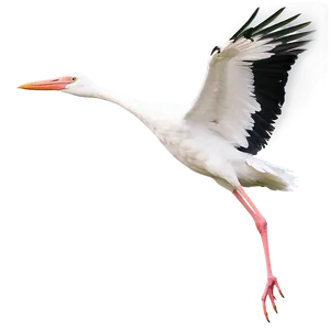 Realistic Flying Stork PNG 06122024