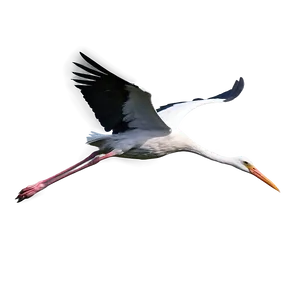 Realistic Flying Stork PNG Bdg PNG