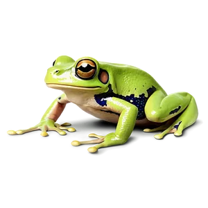 Realistic Frog Clipart PNG 58