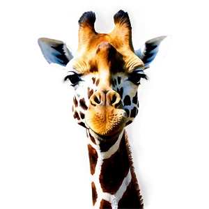 Realistic Giraffe Portrait PNG 05062024