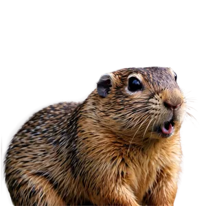 Realistic Gopher Drawing Png 8 PNG image