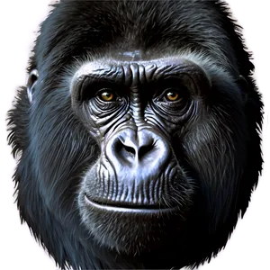 Realistic Gorilla Portrait Png Lly10 PNG image