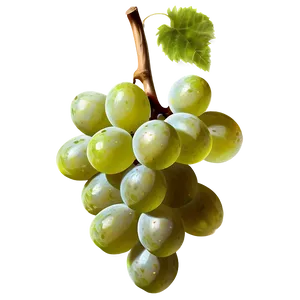 Realistic Grapes PNG 05242024