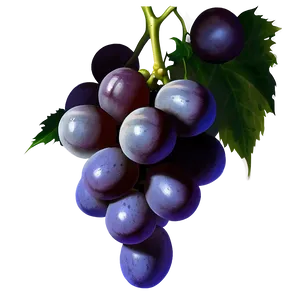 Realistic Grapes PNG 80 PNG