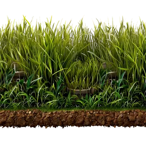 Realistic Grass Border Png 61 PNG image