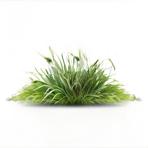 Realistic Grass Border Png 84 PNG image