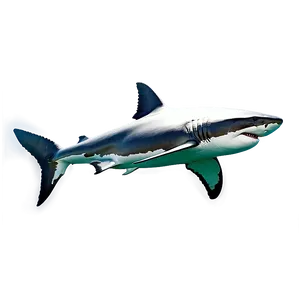 Realistic Great White Shark Png 57 PNG image