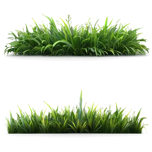 Realistic Green Grass Png Cym77 PNG image