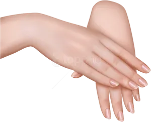 Realistic Hand Clipart PNG image