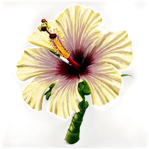 Realistic Hibiscus Png 05232024 PNG image