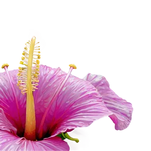 Realistic Hibiscus Png 55 PNG image
