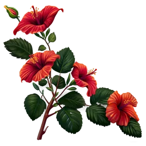 Realistic Hibiscus Png Cnk PNG image