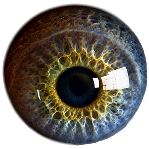 Realistic Human Eye PNG Tvt
