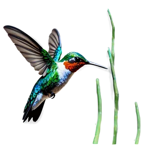 Realistic Hummingbird Art Png 24 PNG image