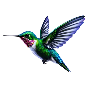 Realistic Hummingbird Art Png Pxj PNG image