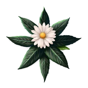 Realistic Indie Flower PNG 15
