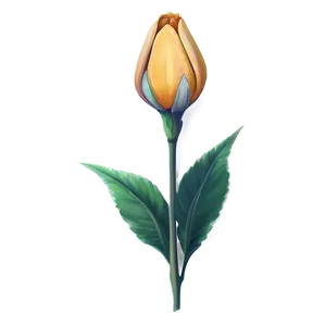 Realistic Indie Flower Png 85 PNG image