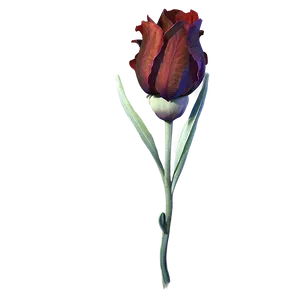 Realistic Indie Flower PNG Vfl PNG