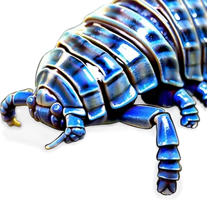 Realistic Isopod Png 82 PNG image