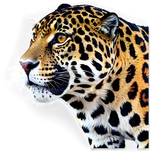 Realistic Jaguar PNG 05212024
