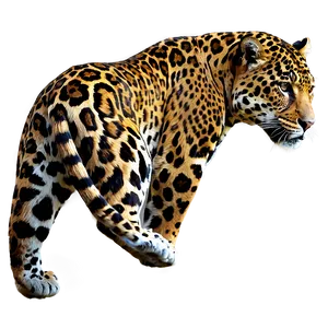 Realistic Jaguar PNG Iyu55