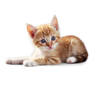 Realistic Kitten PNG Tim52 PNG