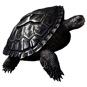 Realistic Leatherback Turtle Illustration Png 93 PNG image