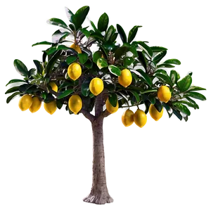 Realistic Lemon Tree Image Png 06212024 PNG image