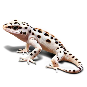 Realistic Leopard Gecko Png 06202024 PNG image