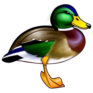 Realistic Mallard Duck PNG 28