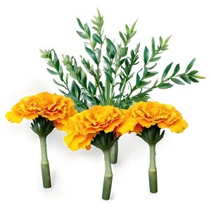 Realistic Marigolds PNG 06132024