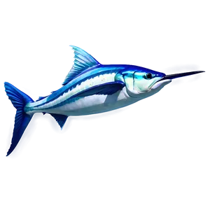 Realistic Marlin Drawing PNG Vsa27 PNG