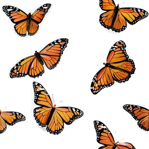 Realistic Monarch Butterflies PNG Hag90 PNG