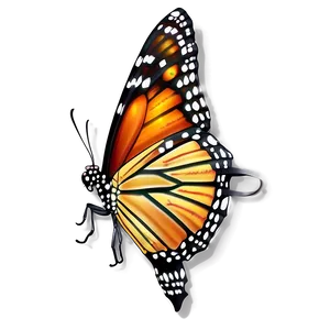 Realistic Monarch Butterfly Png 05252024 PNG image