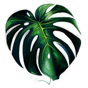 Realistic Monstera Illustration PNG Knh28 PNG