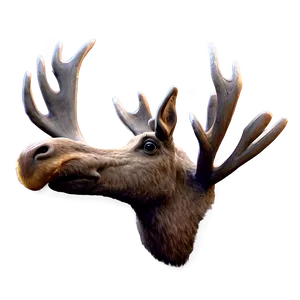 Realistic Moose Drawing Png 05242024 PNG image