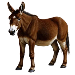 Realistic Mule Artwork Png 62 PNG image