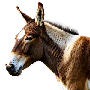 Realistic Mule Artwork Png Crp PNG image