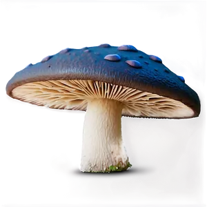 Realistic Mushroom Png 88 PNG image