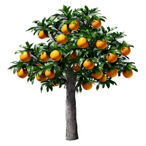 Realistic Orange Tree PNG 06132024